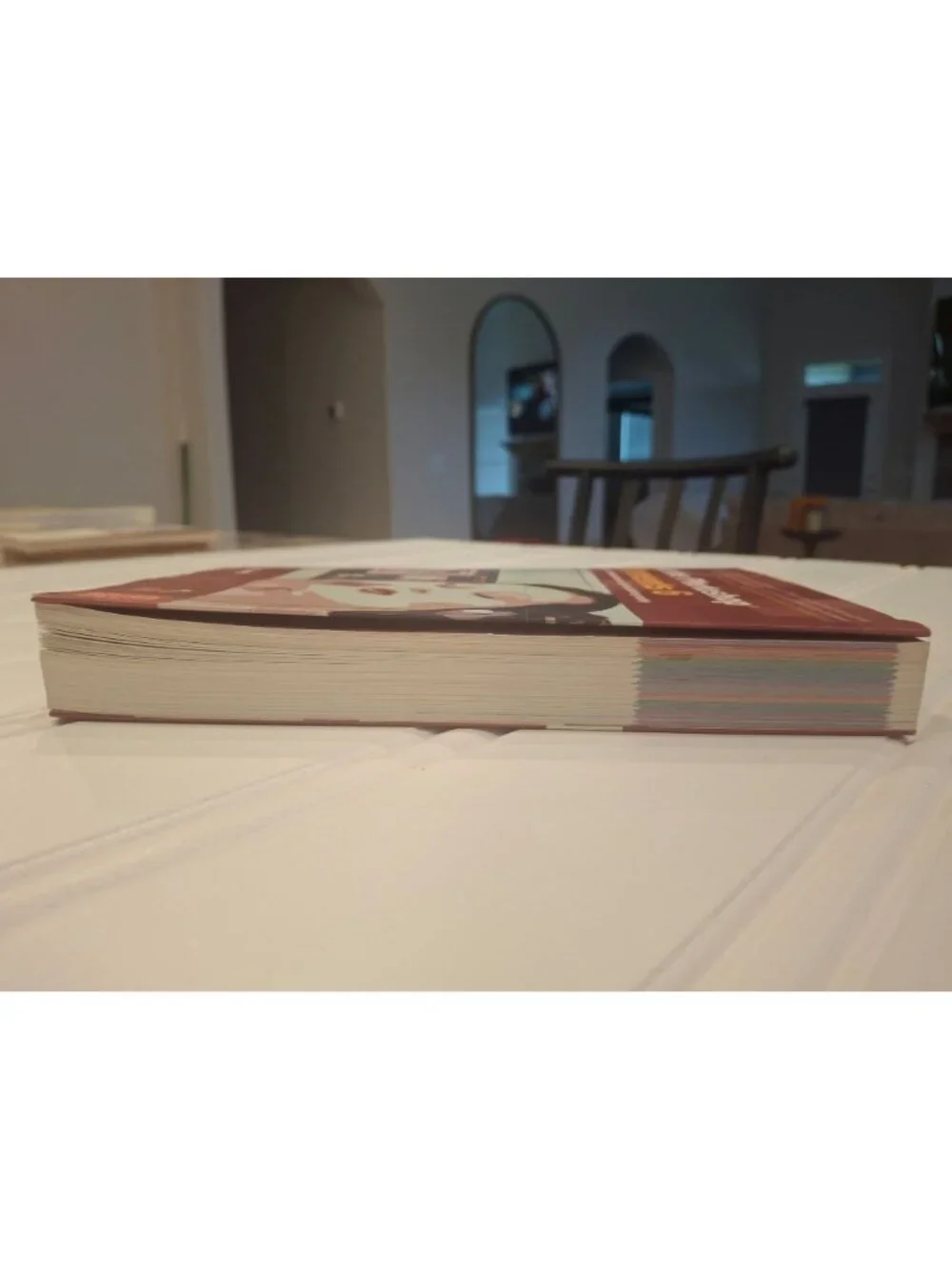 Adobe Photoshop Elements 6 Guide Book Philip Andrews 2008 w/CD